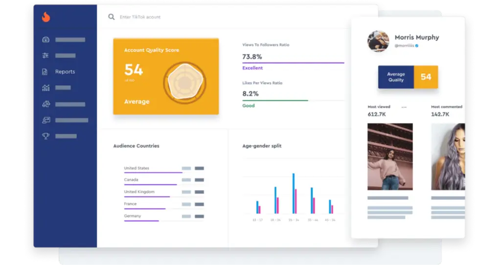 HypeAuditor TikTok account analysis