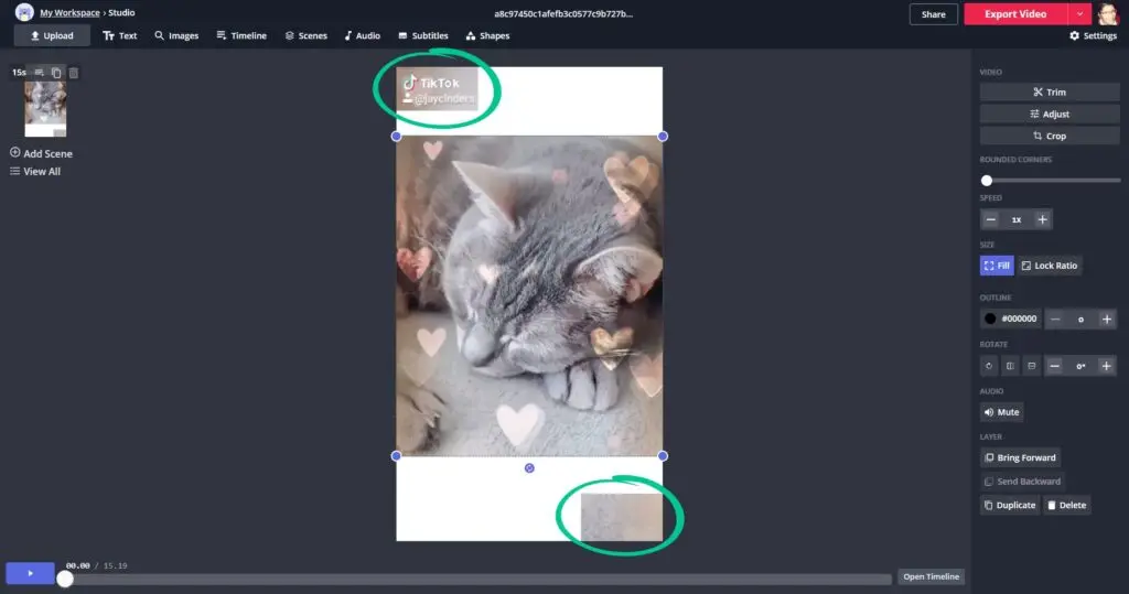 select only the TikTok watermark area