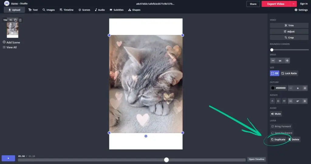 Blur the Watermark