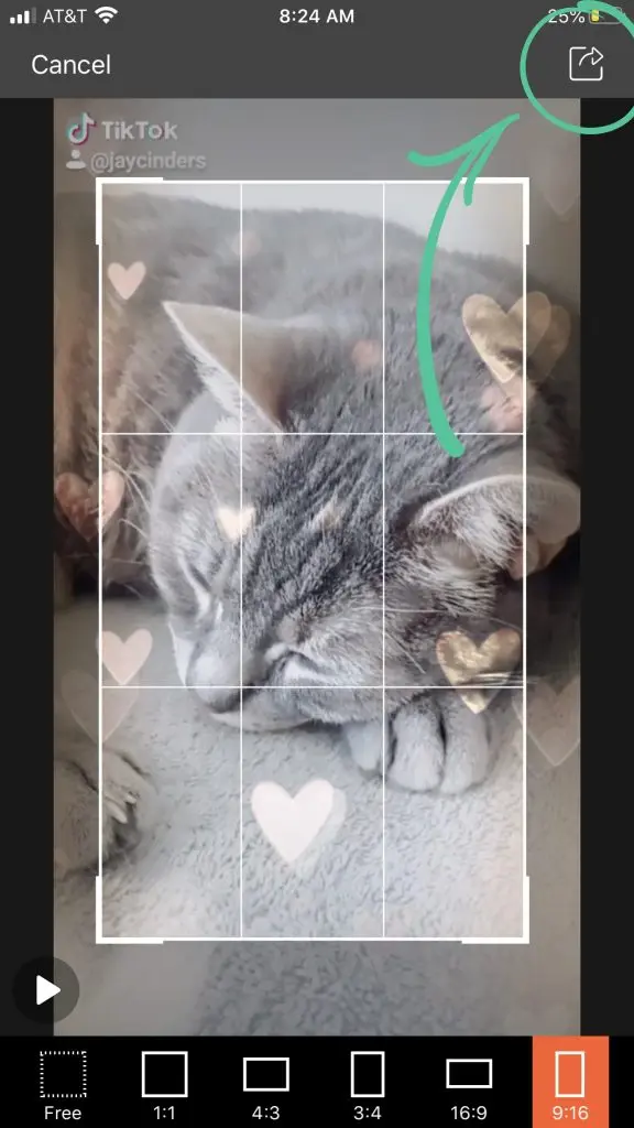 Once you’ve selected the area with the watermark
