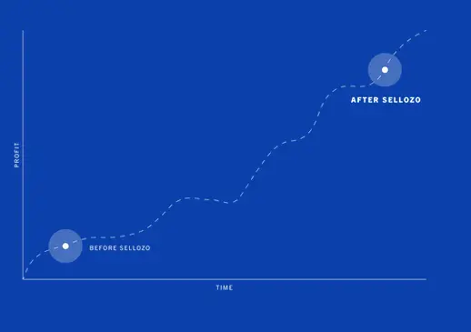 Sellozo ad profit study