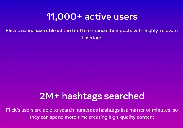 Meta Flick case study