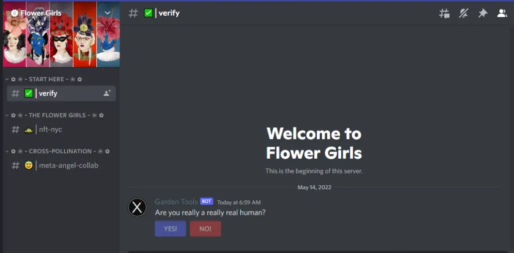 Flower Girls is Discord group