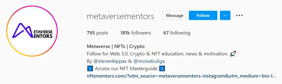 Metaverse Mentors