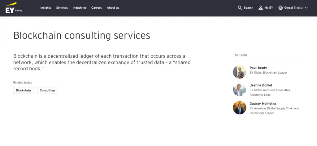 EY (Ernst & Young) Crypto Consulting