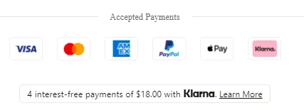 Payment options at Casetify 
