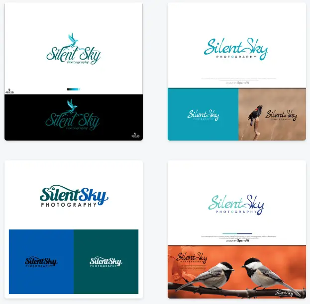 Silent Sky Photography Logo Design