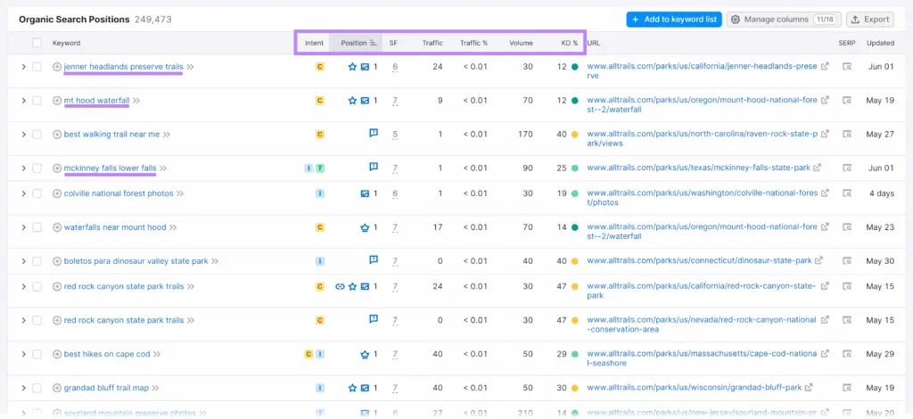 keyword ranking report
