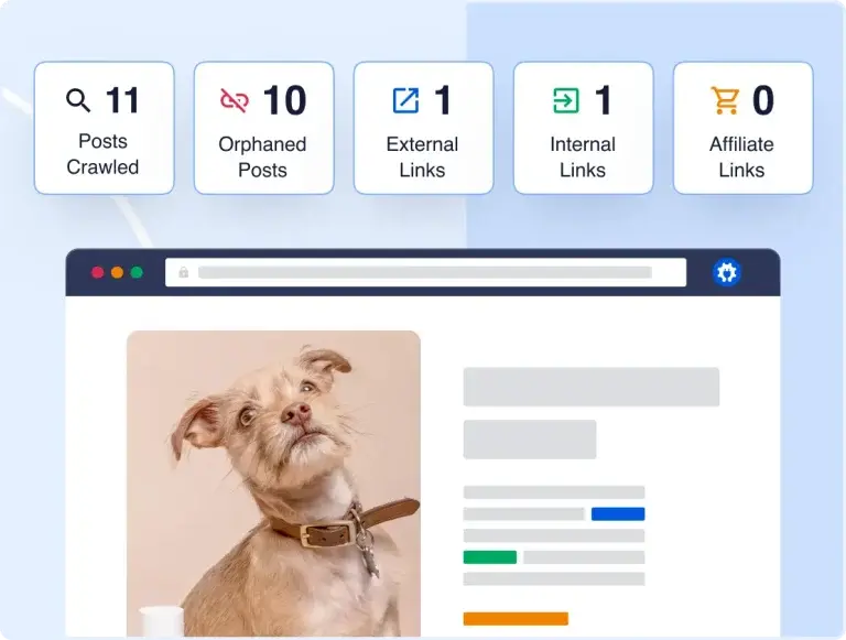 AIOSEO features