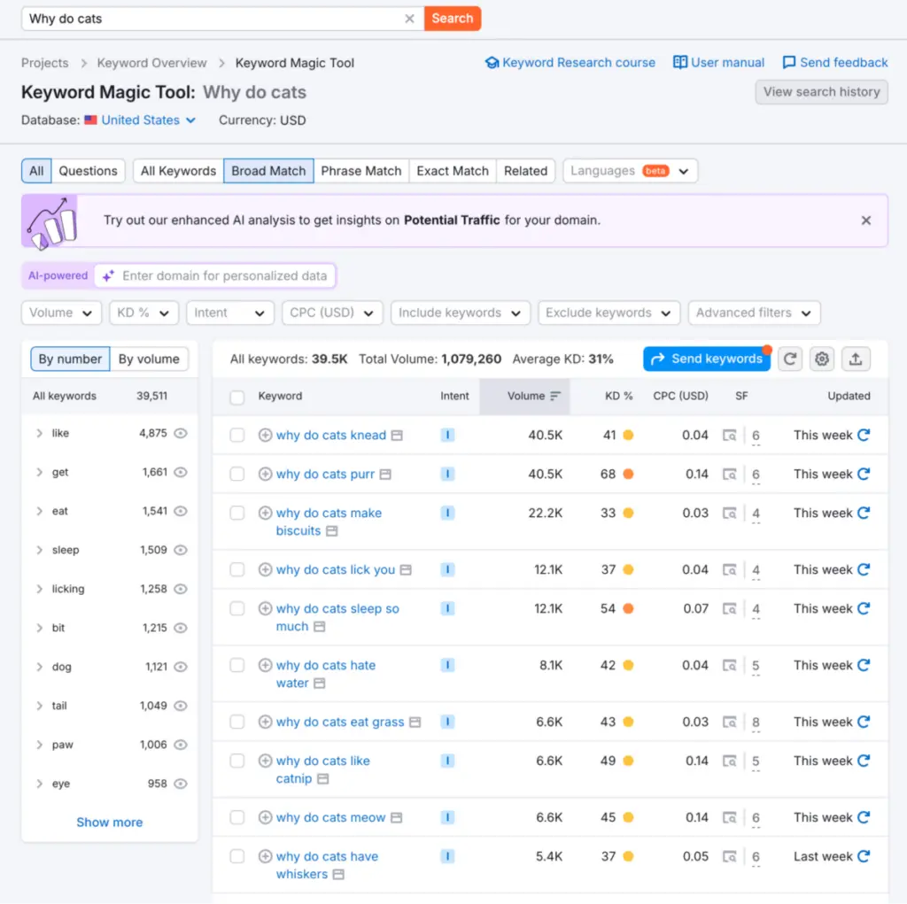 Semrush Keyword Magic Tool