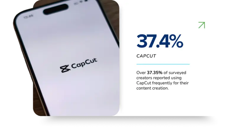 Creator Earnings Report 2025