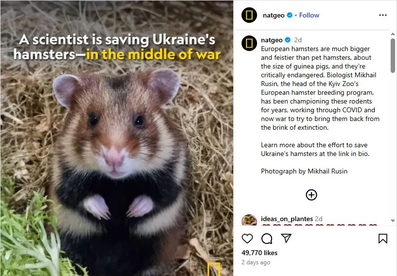 NatGeo Post Captions