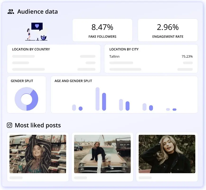 Modash audience data