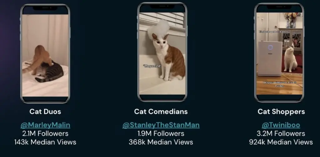 Feline influencer selection