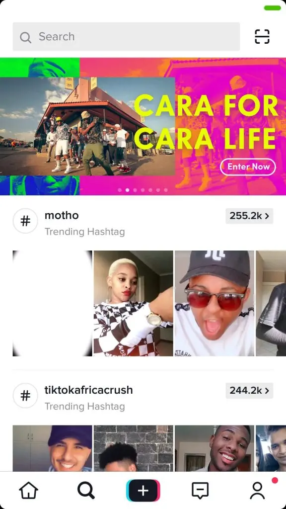Search TikTok Videos