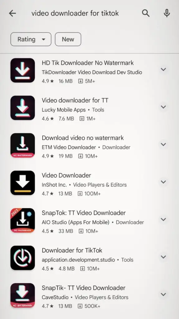 tiktok video downloader