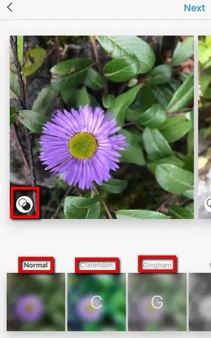 “Clarendon” filter