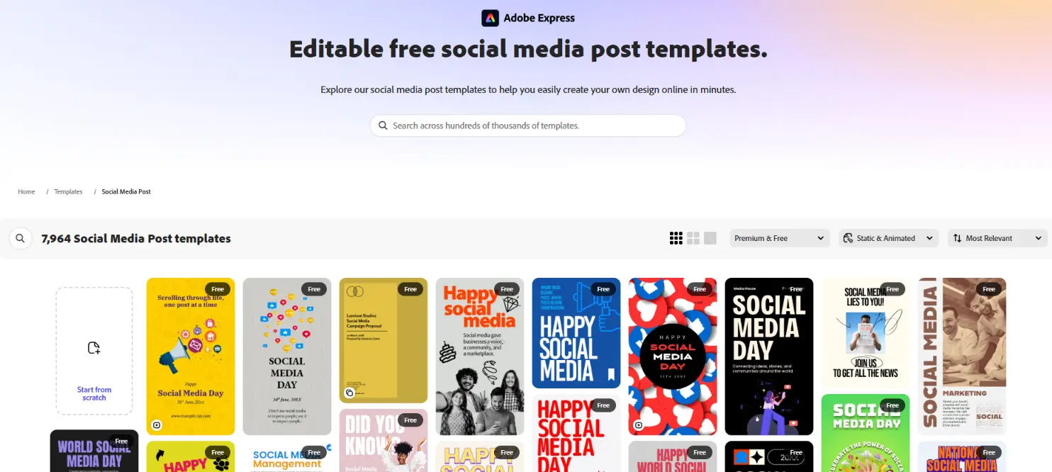 Adobe Express Social Media Design Templates