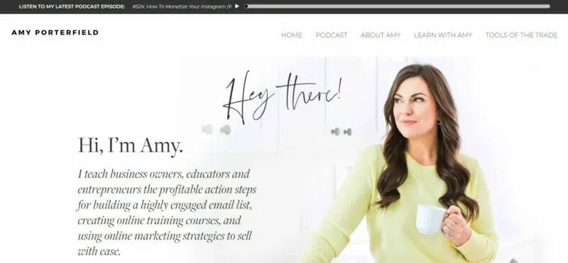 Amy Porterfield _ Online Marketing Expert