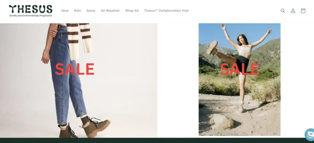 Thesus E-commerce Website