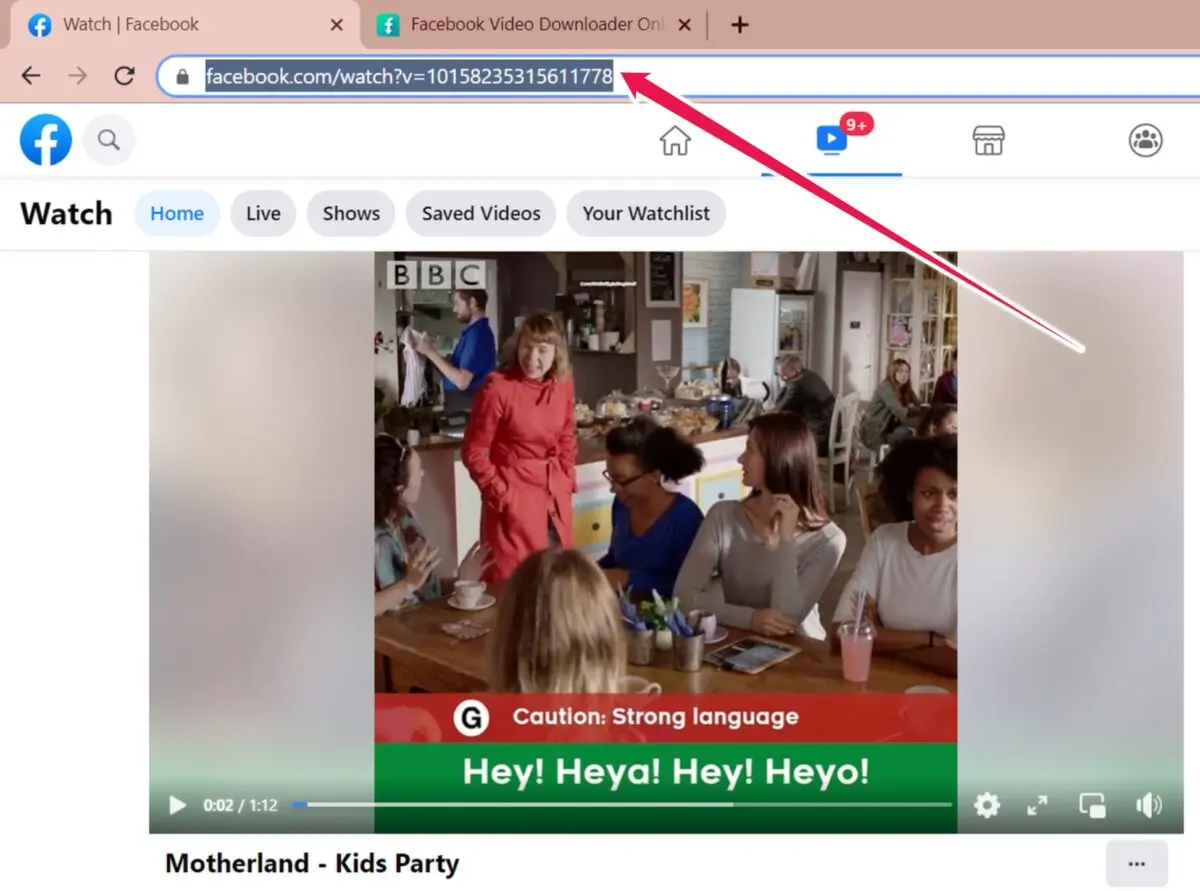 How to Download Facebook Videos