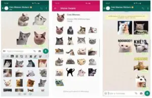 Funny Cat Meme Stickers