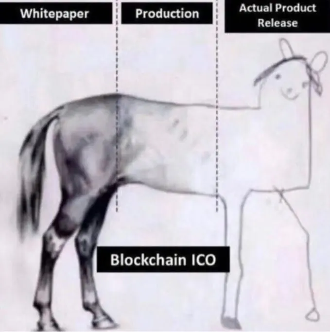 Expectation vs. Reality