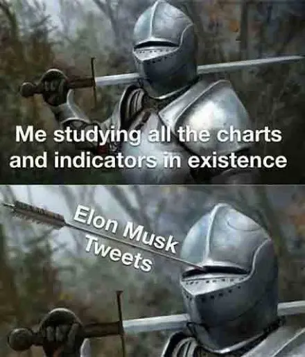 Elon Musk Tweets