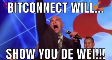 Popular Crypto Memes