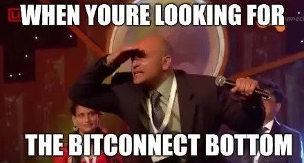 Popular Crypto Memes