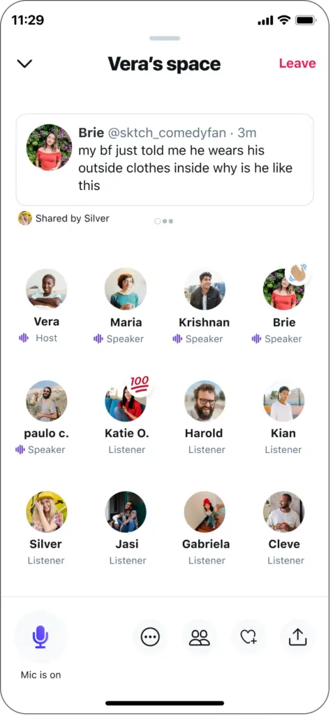Twitter Spaces / social audio service