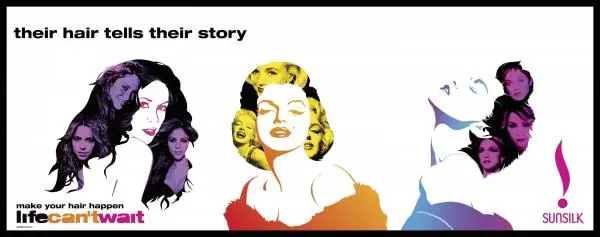 What Is Enterprise Marketing - Sunsilk adverts