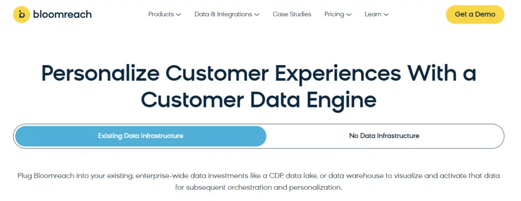 Bloomreach Engagement CDP - AI Customer Data Platforms