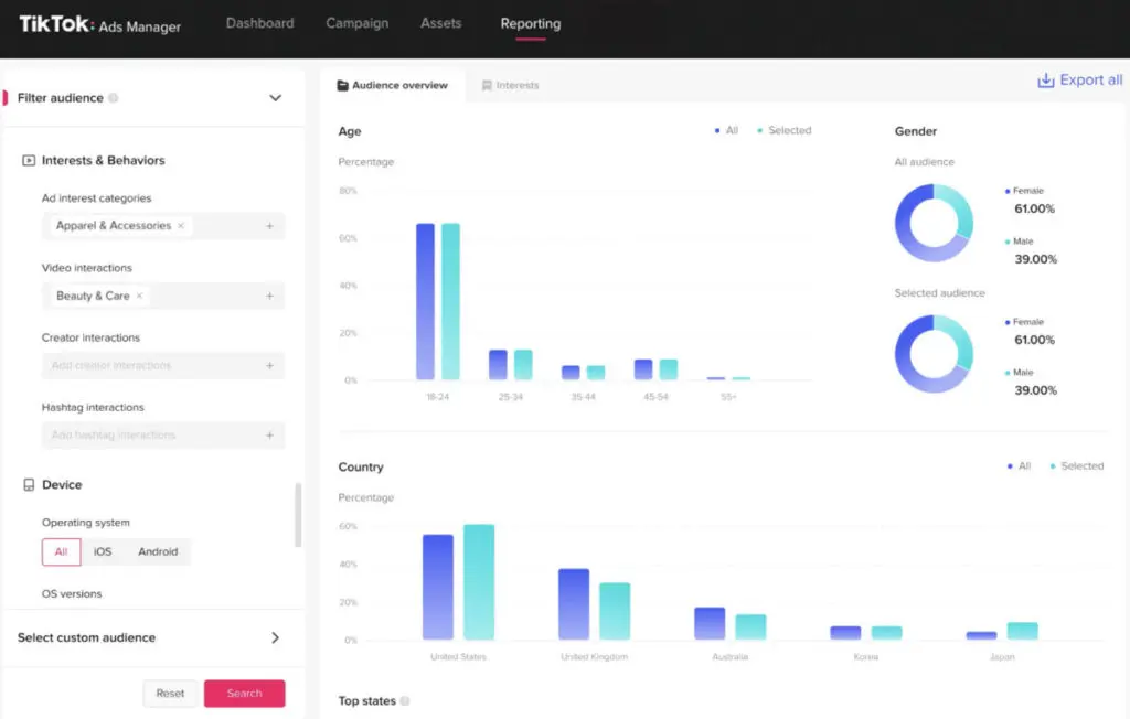 TikTok audience analysis