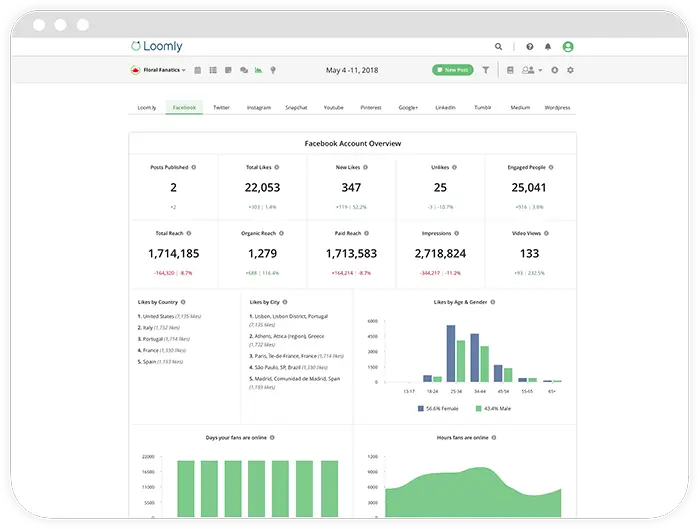 Loomly Advanced Analytics