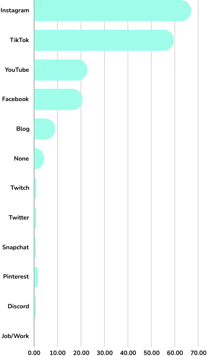 Social Media Platforms Before UGC