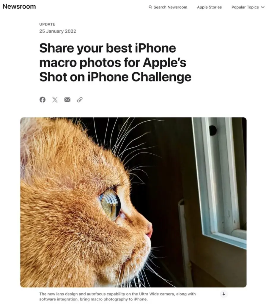 Apple social media marketing strategy