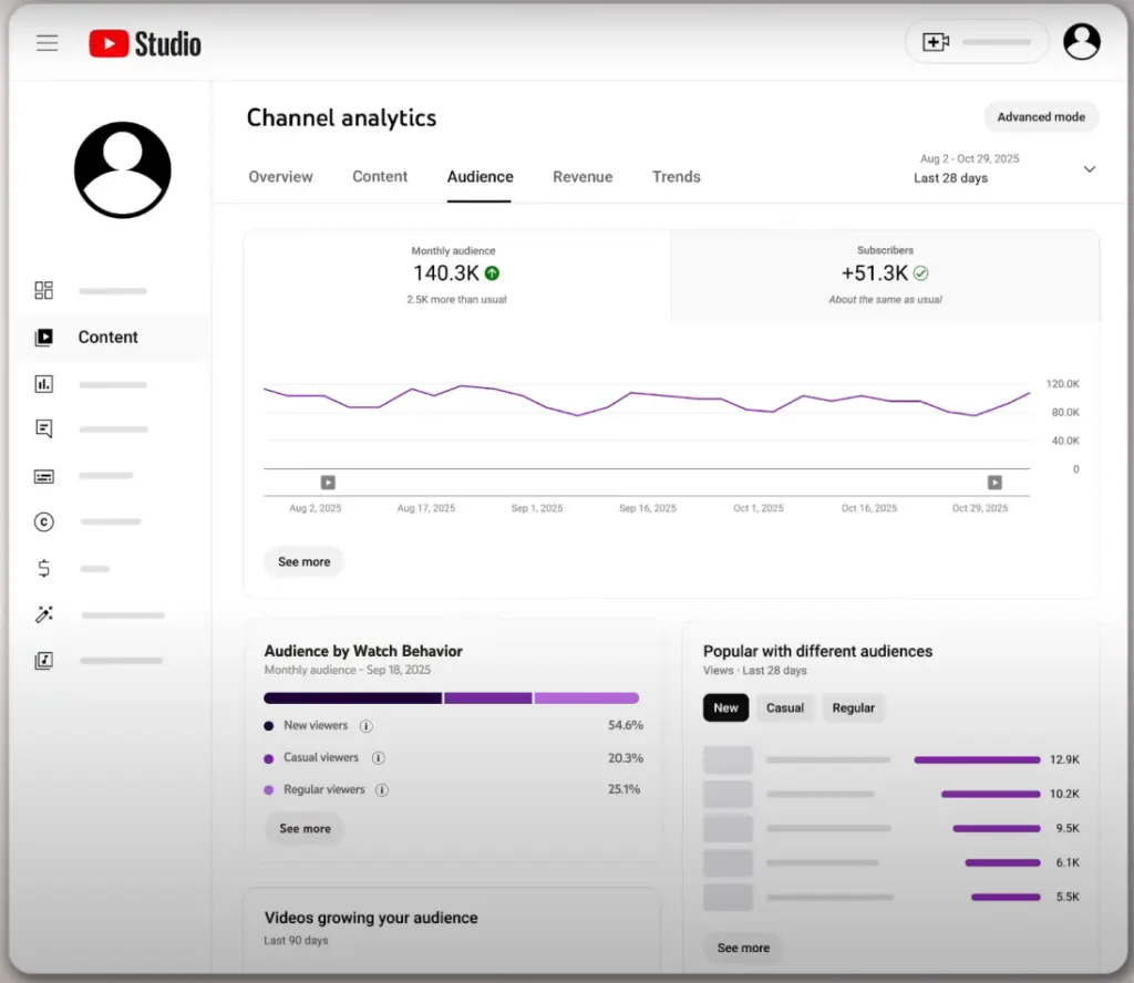 New YouTube Audience Categories