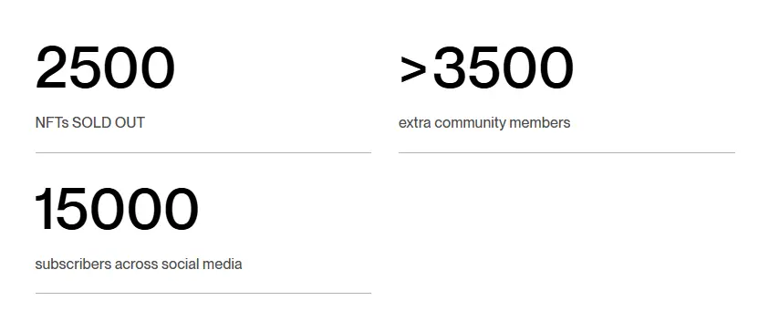 NinjaPromo Case Study Success