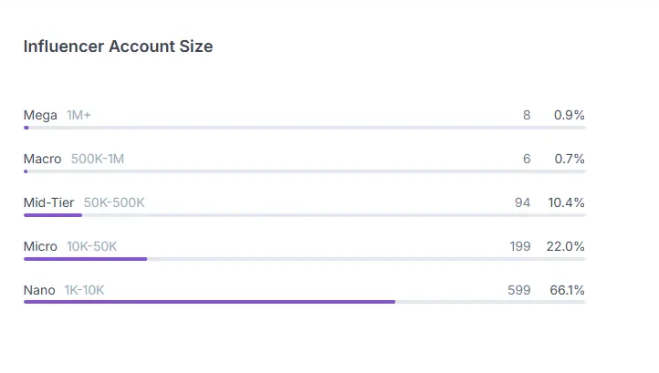 HypeAuditor Analysis Comfort 1