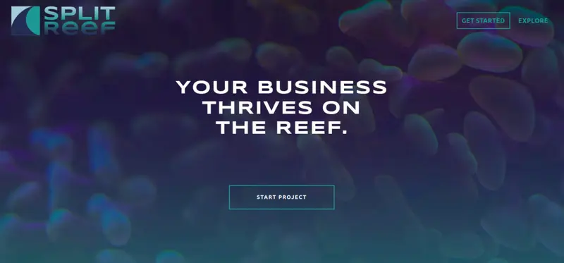 Reef Digital Agency