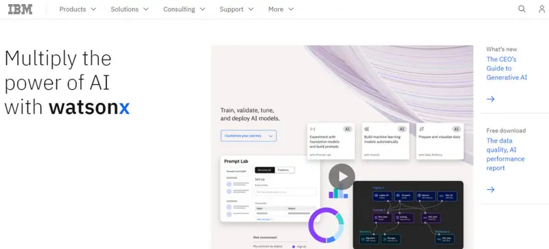 IBM 
