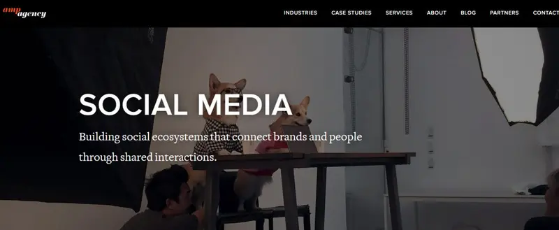 AMP Agency