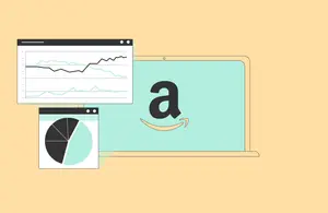 Amazon Statistics