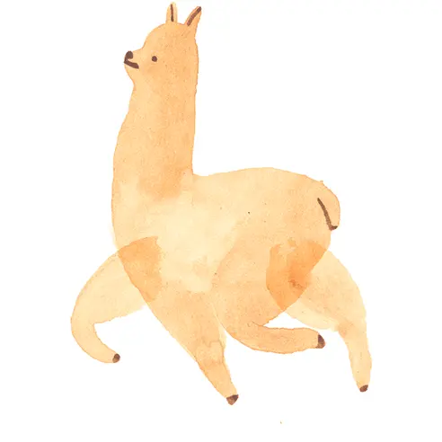 Christina Lu professional animtor