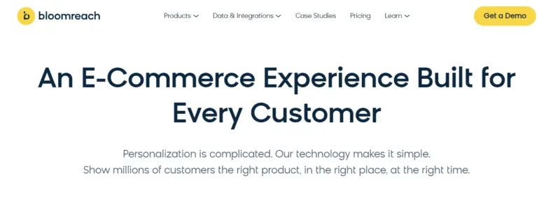 Bloomreach Engagement