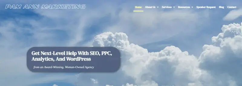 Pam Ann Marketing