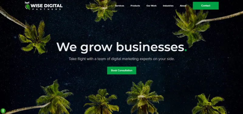 WISE Digital Partners