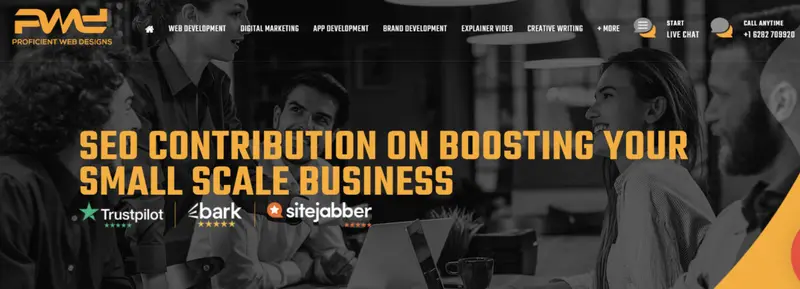 Proficient Web Designs