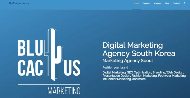BluCactus Korea